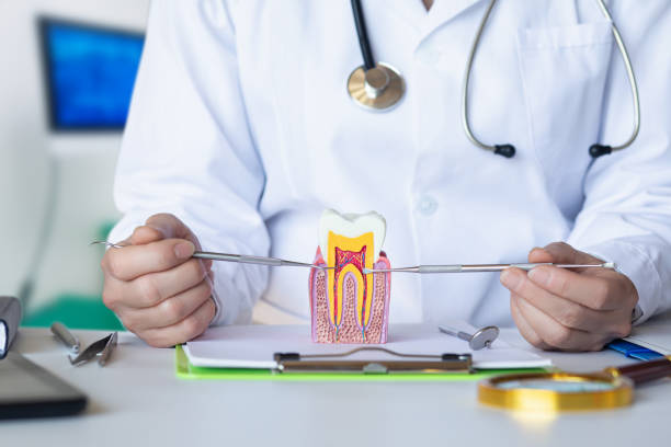 Best Knocked-Out Tooth Emergency  in St Marys, OH